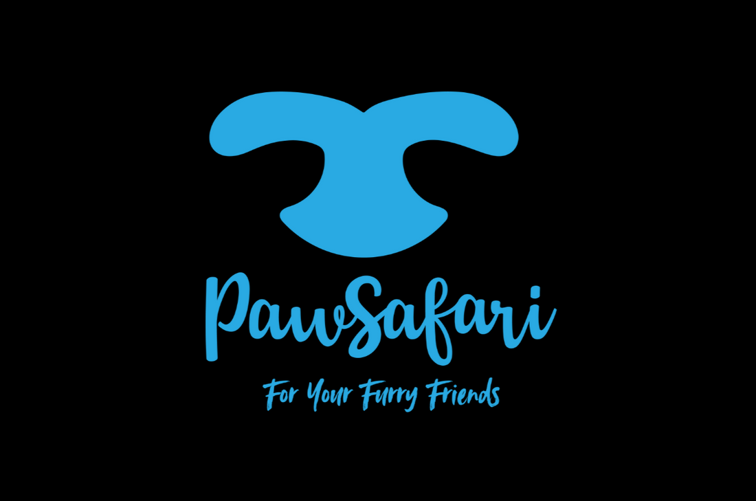 Behind the Logo: The Meaning of the PawSafari Blue Nose