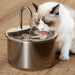 2.2L Stainless Steel Water Fountain - FT444 White (Special 6 filters included)